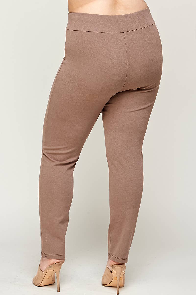 Plus Size High Waisted Pin-Tuck Skinny Pants - WG16213-2P