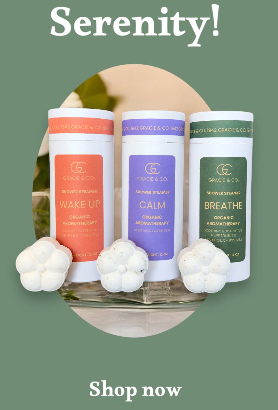 Organic Botanical Aromatherapy Shower Steamers