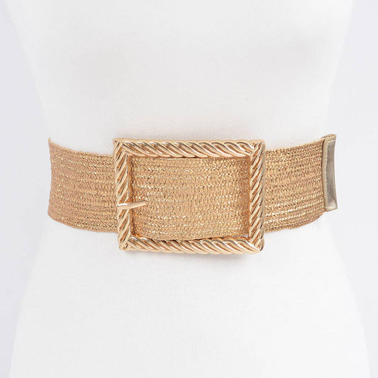 Wide Metal Twist Frame Buckle Plus Size Belt
HB8552